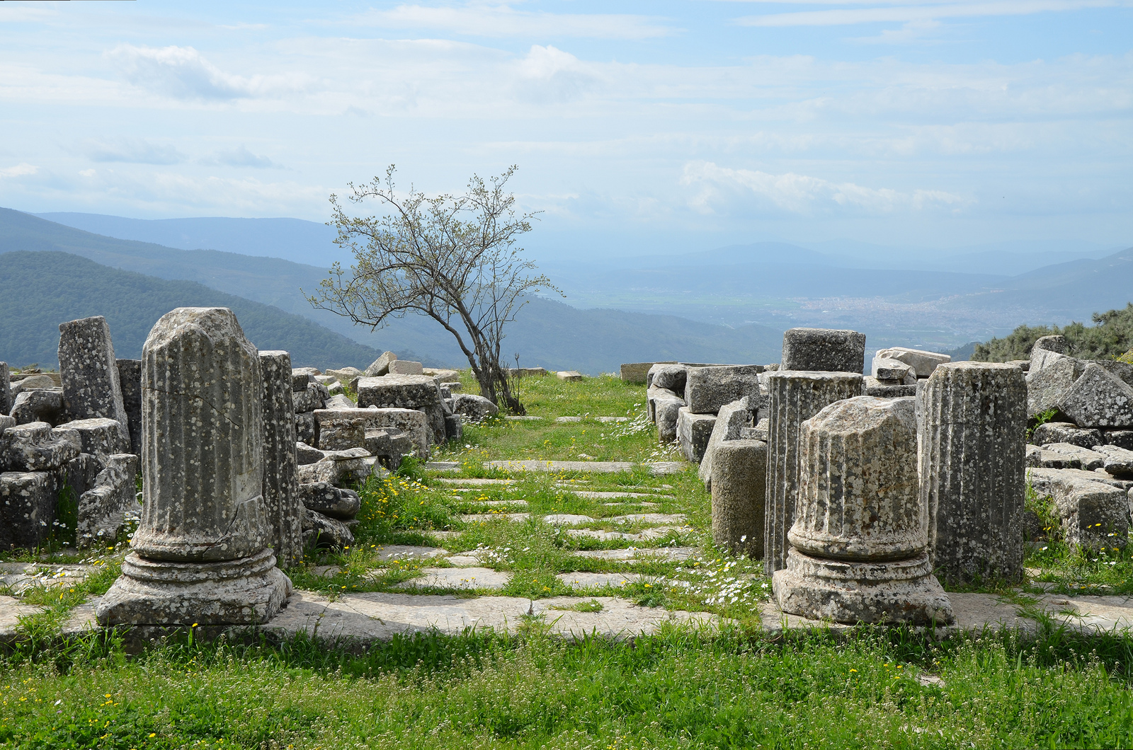 Archaeological Tours That Bring History to Life – Explore the World with ArchaeologicalPaths